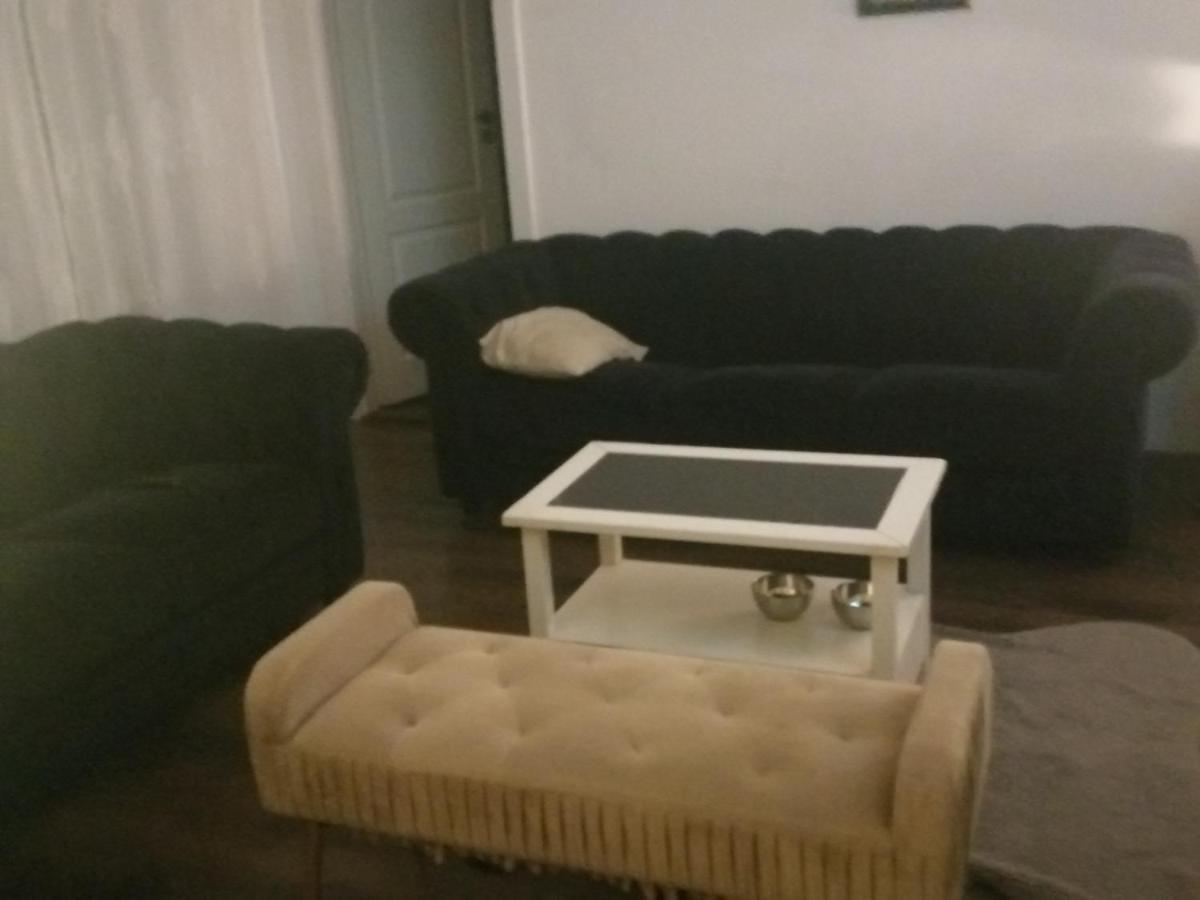Apartments Rogic Zadar Bagian luar foto